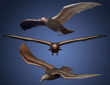 3D model Seagull (STL)